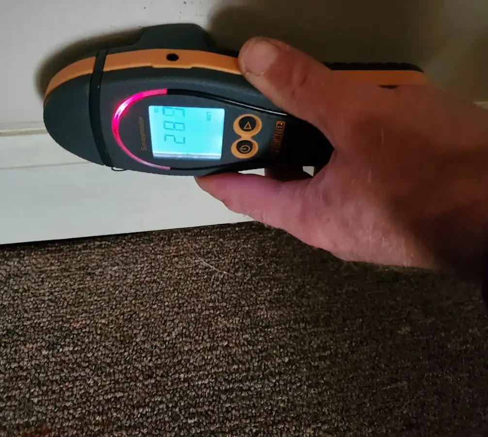 Moisture detection at baseboard during Sewage Cleanup & Sanitation in Heber Springs